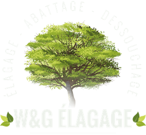 Logo de W&G Élagage