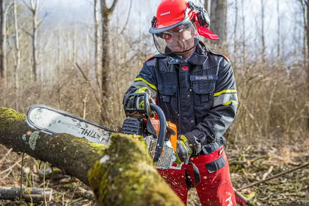 Les avantages de l’élagage hivernal pour vos arbres